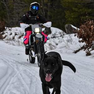 Meet your Posher, Alfred